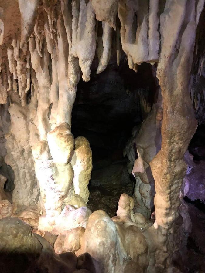 Hotel Metoxi Spiliá Dış mekan fotoğraf